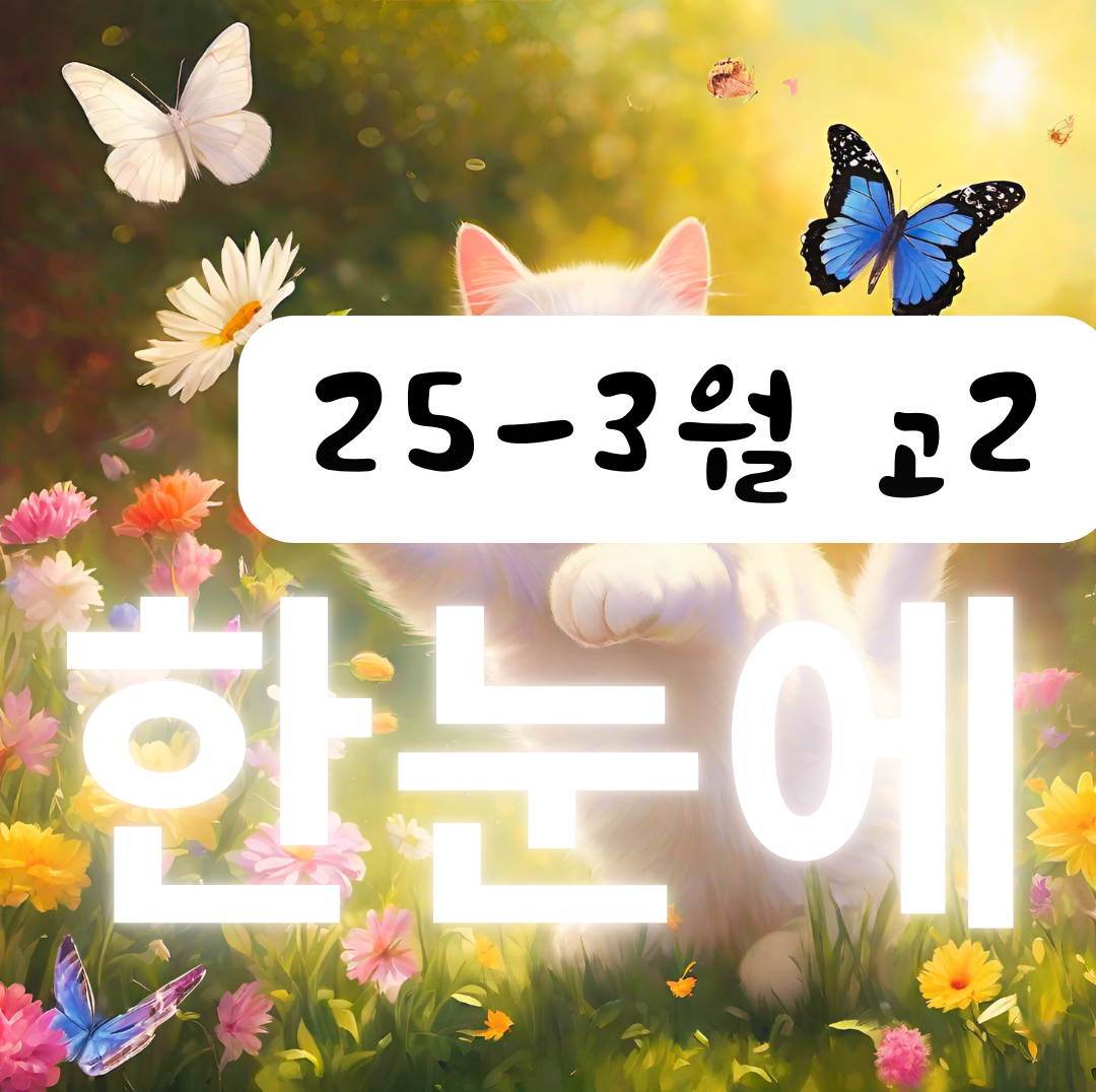 25년 3월 고2 모의고사 한눈에 본문정리 전국연합 직전보강 - 쏠북